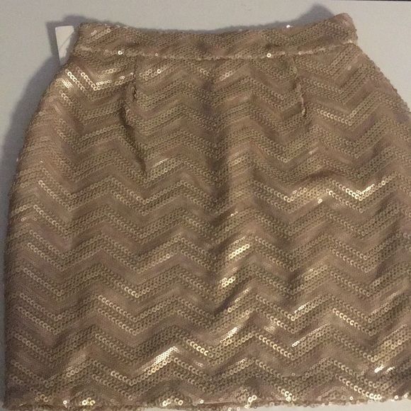 Brand new Tobi Skirt - Picture 3 of 3